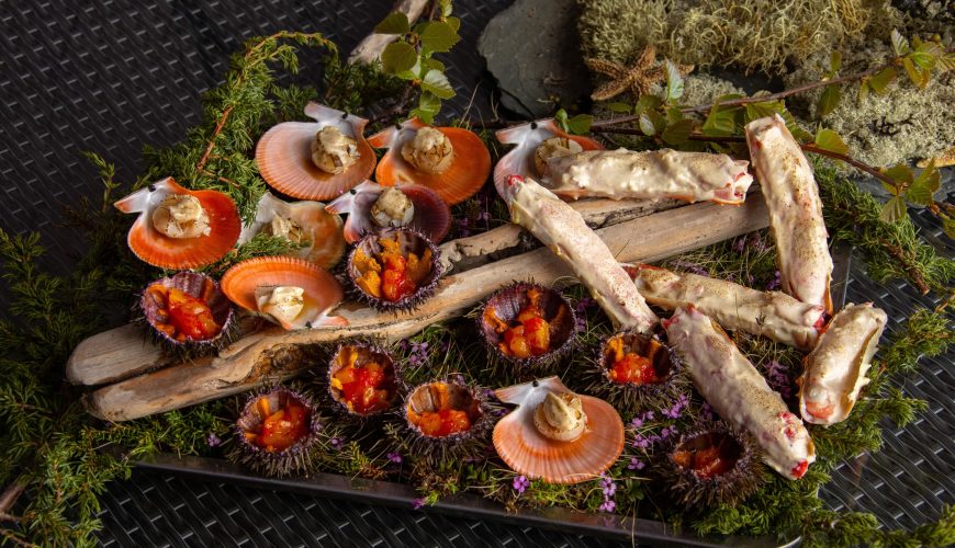 What is Arctic cuisine and where to try it?