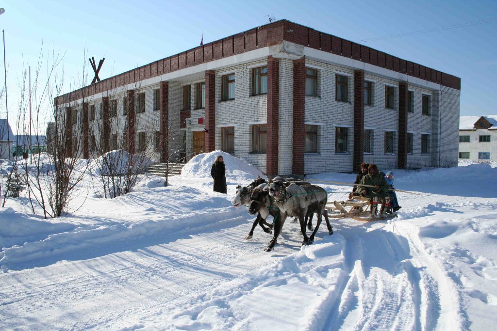 Упряжка северных оленей в заснеженном зимнем селе Ловозеро.
